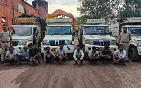 गौ तस्करी पर बड़ी कार्रवाई: 4 पिकअप में मवेशियों को ठूंसकर ले जा रहे थे 9 तस्कर गिरफ्तार