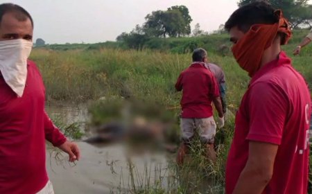 हादसा: पिकनिक के दौरान हसदेव नदी में बही युवती का शव बरामद, पूरे गांव में छाया मातम