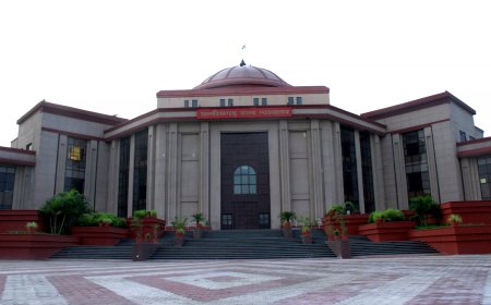 36 साल पुराने बस्तर पेड़ कटाई घोटाले में बड़ा फैसला: हाईकोर्ट ने पलटा सीबीआई कोर्ट का निर्णय, दोनों आरोपी बरी