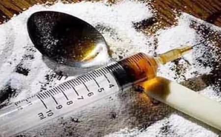 दिल्ली पुलिस ने 80 लाख की चरस तस्करी का नेटवर्क किया ध्वस्त...2 आरोपियों गिरफ्तार