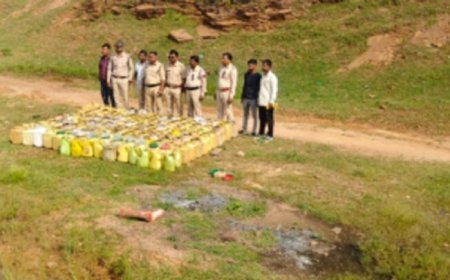 आबकारी विभाग की बड़ी कार्रवाई… भारी मात्रा में कच्ची महुआ शराब और महुआ लाहन जब्त