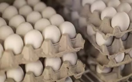 ओडिशा बनेगा अंडा उत्पादन का प्रमुख केंद्र: मंत्री गोकुलानंद मल्लिक