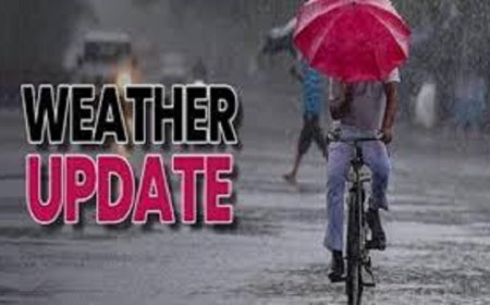 छत्तीसगढ़ में लौट रहा मानसून: अगले दो-तीन दिनों में उत्तरी-मध्य हिस्सों से होगी वापसी