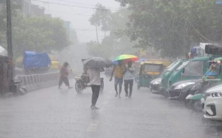 बस्तर में सर्वाधिक वर्षा हुई, छत्तीसगढ़ में 1210.4 मिमी. वर्षा दर्ज