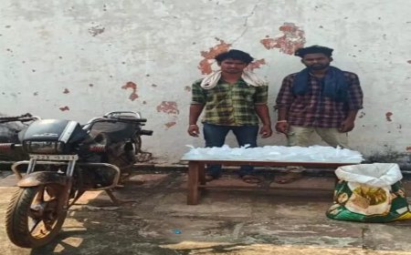 बिलासपुर में “ऑपरेशन प्रहार” के तहत बड़ी कार्रवाई: दो शराब तस्कर और दो नशीली कैप्सूल सप्लायर गिरफ्तार