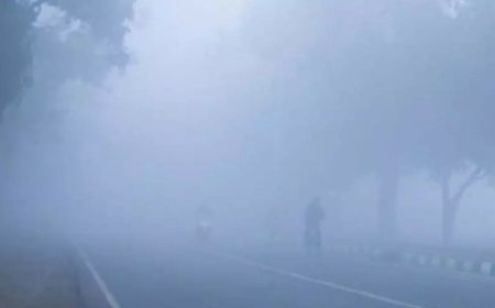 थमी बारिश, अब महसूस होने लगी हल्की ठंडक; जानें आपके जिले का मौसम हाल