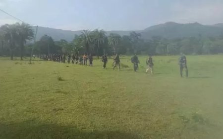 बस्तर हुआ नक्सलमुक्त: 206 नक्सलियों ने किया आत्मसमर्पण, अमित शाह बोले – ऐतिहासिक मुकाम हासिल