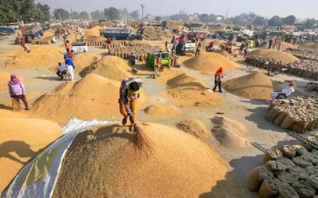 धान उपार्जन से पहले अवैध तस्करी पर कड़ी नजर, 16 चेक पोस्ट स्थापित