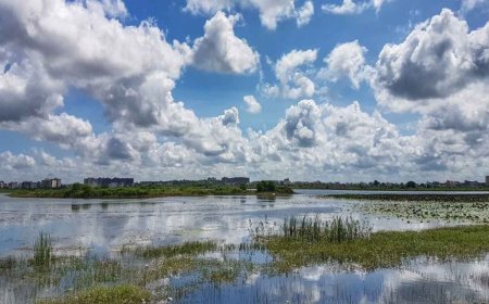Chhattisgarh Weather: छत्तीसगढ़ से जल्द विदा होगा मानसून, ठंड ने दी दस्तक