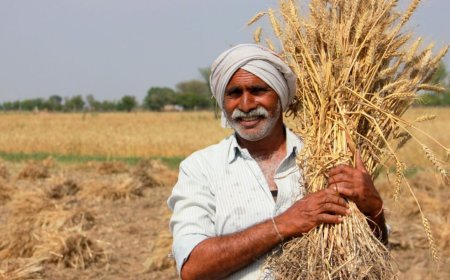 छत्तीसगढ़ में कृषि भूमि रजिस्ट्री में बड़ी सुविधा, अब ऋण पुस्तिका अनिवार्य नहीं