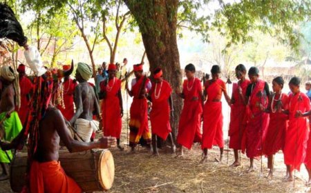 सरगुजा में दिवाली का अनोखा त्यौहार: देवउठनी सोहराई