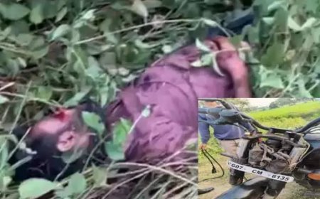 बिलासपुर NH हादसा: युवक की लाश और क्षतिग्रस्त बाइक बरामद