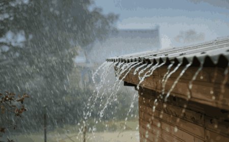 मध्य प्रदेश में बारिश का अलर्ट, तीन दिन में बढ़ेगी ठंड