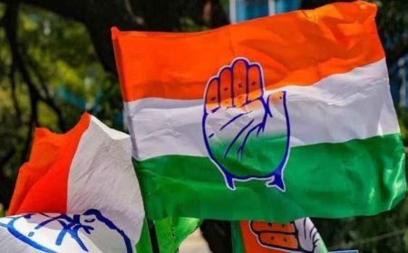 छत्तीसगढ़ कांग्रेस में जिला अध्यक्ष नियुक्ति को लेकर दिल्ली में अहम बैठक कल