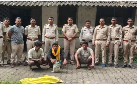 मृत हाथी का मामला सुलझा, वन विभाग की तत्परता से तीन आरोपी गिरफ्तार
