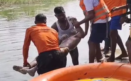 22 घंटे बाद छठ घाट डेम से युवक का शव बरामद, एसडीआरएफ टीम ने चलाया रेस्क्यू ऑपरेशन