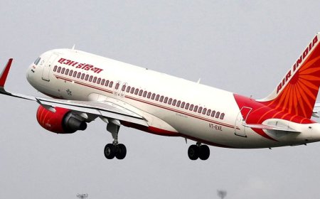 एयर इंडिया की फ्लाइट से पक्षी टकराया, नागपुर में इमरजेंसी लैंडिंग के बाद उड़ान रद्द, जानिए क्या है वजह"