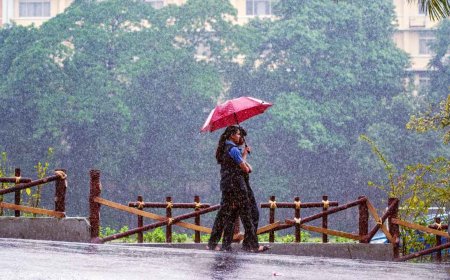 Weather Alert: छत्तीसगढ़ में फिर बरसेंगे बादल, बस्तर से रायपुर तक भारी बारिश और तेज हवाओं की चेतावनी