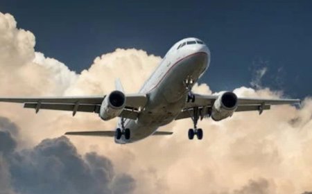 फ्लाइट में नारियल क्यों नहीं ले जा सकते? जानिए हवाई यात्रा से जुड़े अहम नियम