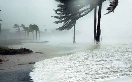 Weather News: छत्तीसगढ़ में मोंथा चक्रवात का कहर, बस्तर-सुकमा में भारी बारिश का अलर्ट