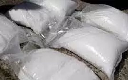 खुर्दा में 30 लाख की ब्राउन शुगर के साथ 7 गिरफ्तार, नकद और वाहन भी जब्त