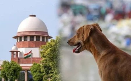 Supreme Court का सख्त रुख: आवारा कुत्तों पर नियंत्रण में लापरवाही पर सभी राज्यों के मुख्य सचिवों को तलब