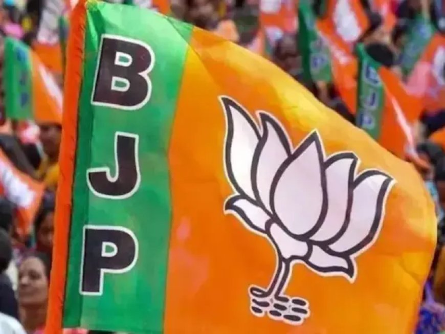 रायपुर ग्रामीण भाजपा में नए पदाधिकारियों की घोषणा