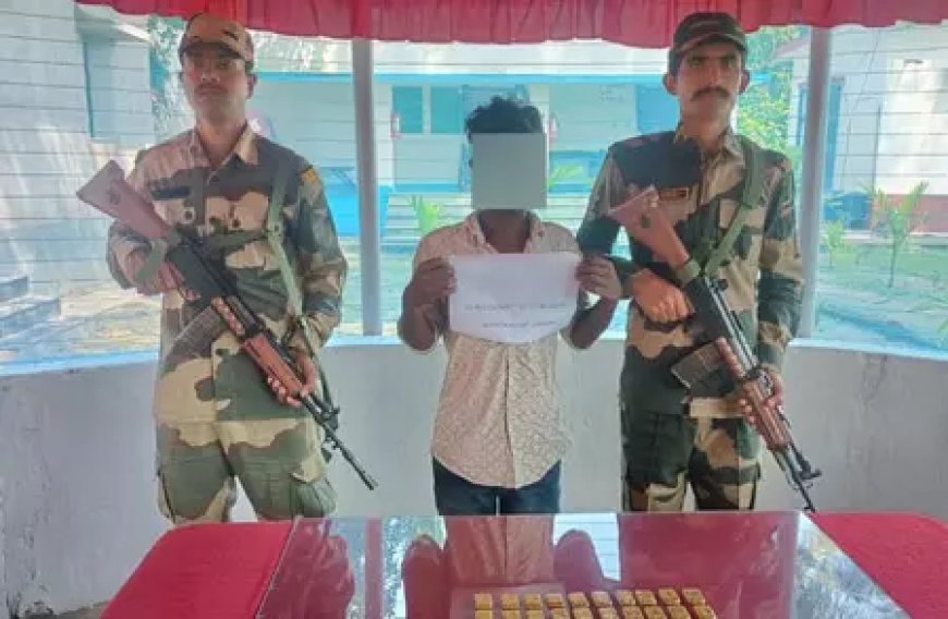 बीएसएफ ने भारत-बांग्लादेश सीमा पर 2.82 करोड़ के सोने के साथ तस्कर को किया गिरफ्तार