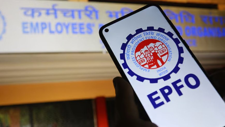 EPFO ने दी दिवाली तोहफ़ा: अब PF पूरा निकालना होगा आसान...जानें क्या है नया नियम