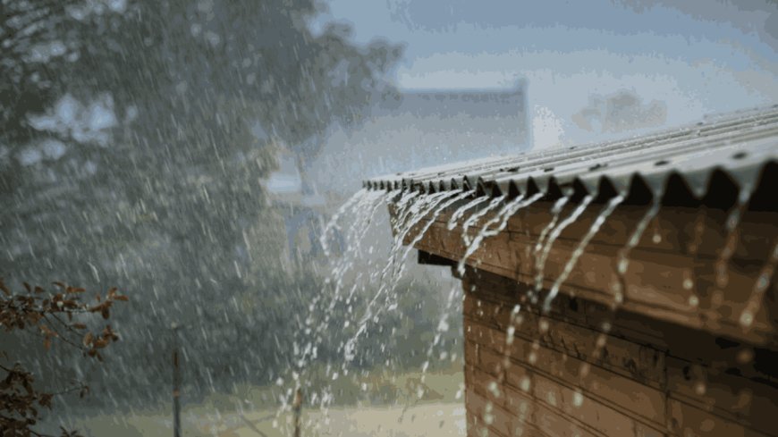 मध्य प्रदेश में बारिश का अलर्ट, तीन दिन में बढ़ेगी ठंड