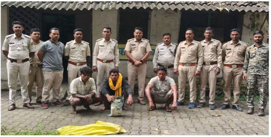 मृत हाथी का मामला सुलझा, वन विभाग की तत्परता से तीन आरोपी गिरफ्तार