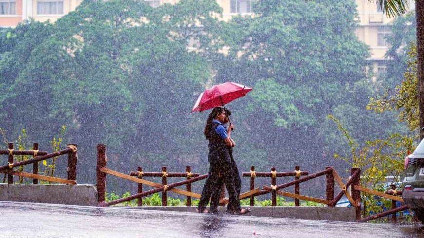 Weather Alert: छत्तीसगढ़ में फिर बरसेंगे बादल, बस्तर से रायपुर तक भारी बारिश और तेज हवाओं की चेतावनी
