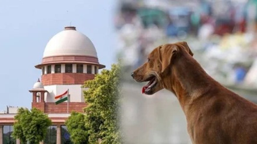 Supreme Court का सख्त रुख: आवारा कुत्तों पर नियंत्रण में लापरवाही पर सभी राज्यों के मुख्य सचिवों को तलब