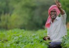 अलर्ट: PM Kisan की 21वीं किस्त पर बड़ा अपडेट, सरकार ने शुरू किया ‘ऑपरेशन क्लीन’, जानिए क्या है वजह और कब तक आएंगे पैसे"