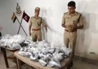 ओडिशा के मलकानगिरी में 8 करोड़ का हशीश तेल जब्त, 8 तस्कर फरार