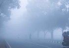 ठंडी हवाओं से कांपा छत्तीसगढ़, मौसम विभाग ने 9 जिलों में शीतलहर अलर्ट किया जारी