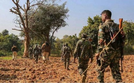 नक्सलियों के साथ मुठभेड़: बालाघाट के जंगल में सुरक्षाबलों का ऑपरेशन, नक्सलियों की तलाश जारी