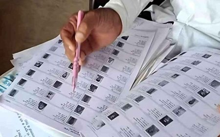 भोपाल में बड़ी कार्रवाई: डोर-टू-डोर सर्वे में लापरवाही पर BLO प्रशांत दुबे बर्खास्त