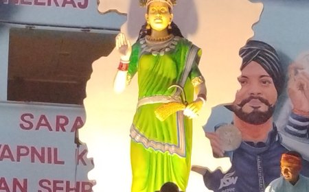 हरिहर ग्रुप के द्वारा रंगारंग कार्यक्रम एक शाम छत्तीसगढ़ महतारी के नाम