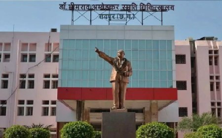 Raipur News: मेकाहारा अस्पताल में डस्टबिन से नवजात शिशु का शव मिला, पुलिस जांच में जुटी
