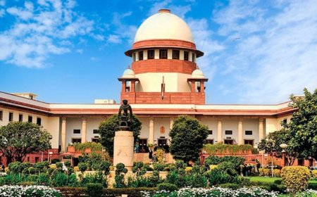 हमदाबाद विमान हादसा: SC ने पायलट को दोषी ठहराने से किया इंकार