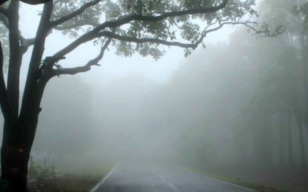 छत्तीसगढ़ में बढ़ी ठंड: अगले हफ्ते से और गिरेगा तापमान, मौसम विभाग ने दी चेतावनी