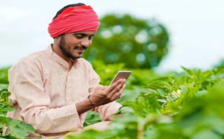PM Kisan e-KYC: 21वीं किस्त से पहले करें जरूरी अपडेट, वरना रुक सकती है 6,000 की सहायता राशि