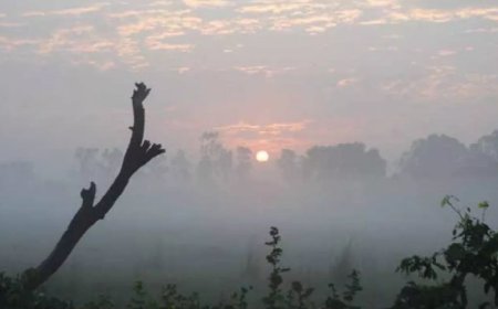 मध्य प्रदेश में बढ़ी सर्दी की दस्तक: इंदौर-भोपाल पचमढ़ी से भी ठंडे, 12 जिलों में शीतलहर अलर्ट