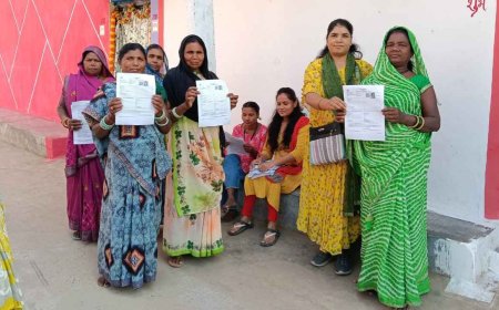 छत्तीसगढ़ में मतदाता सूची SIR प्रक्रिया जारी: 6 दिन में 43 लाख मतदाताओं तक पहुंचे BLO