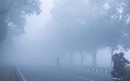 ठंडी हवाओं से कांपा छत्तीसगढ़, मौसम विभाग ने 9 जिलों में शीतलहर अलर्ट किया जारी