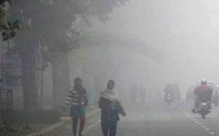 मध्य प्रदेश में ठंड का कहर, 23 जिलों में आज शीतलहर का अलर्ट, जानिए आपके शहर में क्या है मौसम का हाल