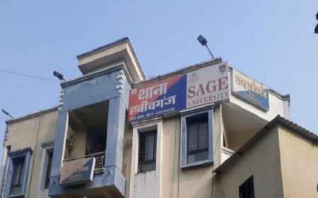 डिप्टी कलेक्टर के घर चोरी, 10 तोला सोना और लाखों की ज्वेलरी चोरी, जानिए कैसे हुई वारदात