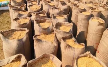 जिले की 140 में से 131 केन्द्रों में शुरू हुई धान की खरीदी,अब तक  25226 क्विंटल धान की आवक