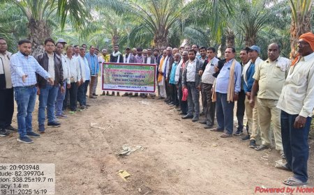 किसानों को मिला ऑयल पाम योजना की तकनीकी जानकारी,महासमुंद के भलेसर गांव का 120 किसानों ने किया भ्रमण